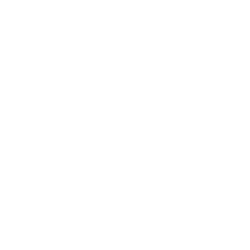 Computer icon